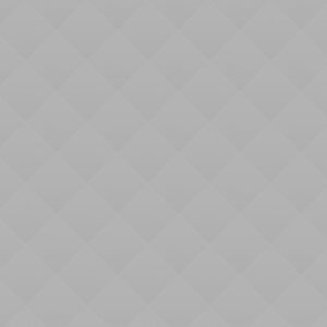 Crispy Panini Crispy Panini